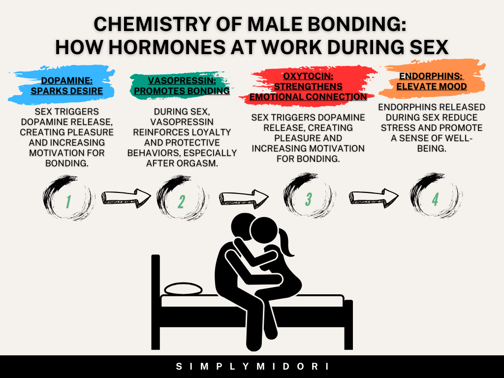 This infographic, titled "The Hidden Chemistry of Male Bonding: Hormones at Work During Sex," explores the key hormones released during sex and their roles in fostering emotional connection and loyalty in men. It highlights four primary hormonal effects:
Dopamine: The pleasure hormone that sparks desire and motivates bonding.
Vasopressin: Often called the loyalty hormone, it reinforces trust and protective instincts.
Oxytocin: Known as the "cuddle hormone," it strengthens emotional intimacy and connection.
Endorphins: Natural mood elevators that reduce stress and enhance well-being.
This visual guide illustrates how these hormones work together to deepen relationships, creating a foundation of trust, emotional closeness, and long-term bonding.