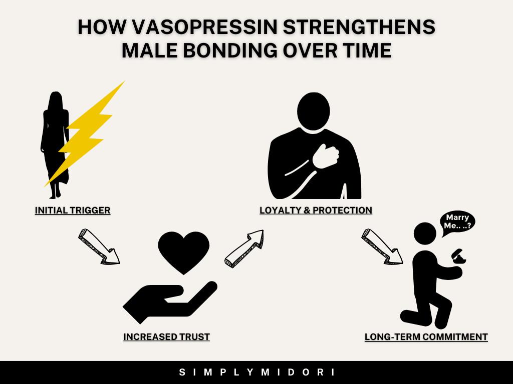 How Vasopressin Strengthens Male Bonding Over Time with the stages:
Initial Trigger (⚡)
Increased Trust (????)
Loyalty & Protection (????️)
Long-Term Commitment (????)
Each stage is connected with arrows to show progression.