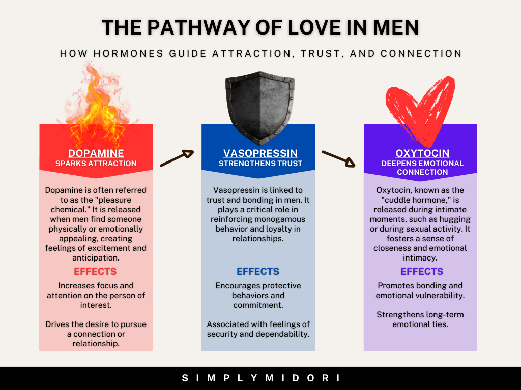 Image that shows how Dopamine: Sparks Attraction, Vasopressin: Strengthens Trust & Oxytocin: Deepens Emotional Connection!